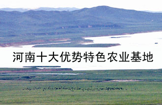 8月19日，河南省政府發(fā)布了關(guān)于深入推進農(nóng)業(yè)供給側(cè)結(jié)構(gòu)性改革 大力發(fā)展優(yōu)勢特色農(nóng)業(yè)的意見