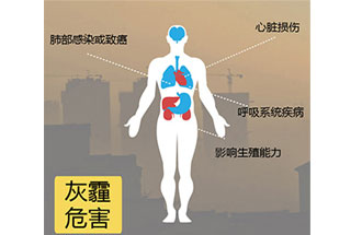 空氣中PM2.5 是由什么物質組成的？